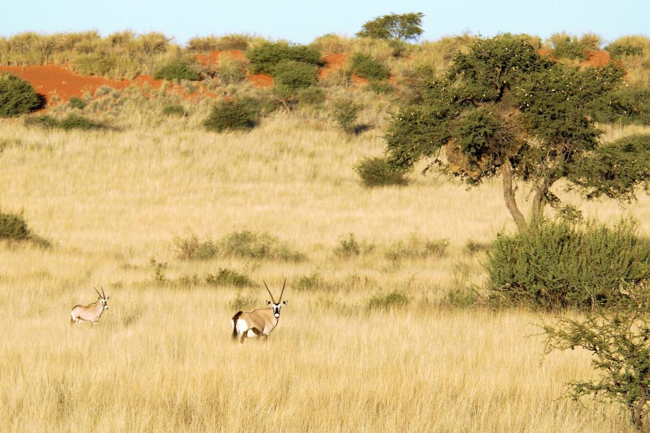 Kalahari Anib Camping2Go Mariental Eksteriør billede